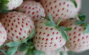 Pineapple strawberries