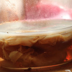 Scoby...the mother of kombucha