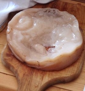 SCOBY from our workshop