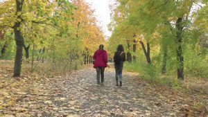 Two people walking in the park in autumn